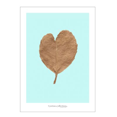 Poster heart Dry leaf