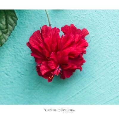 Póster corazón flor tropical rojo