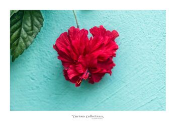 Poster Coeur Fleur tropicale rouge