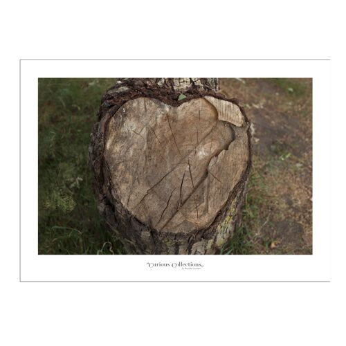 Poster heart Woodchunk