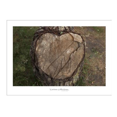 Poster heart Woodchunk