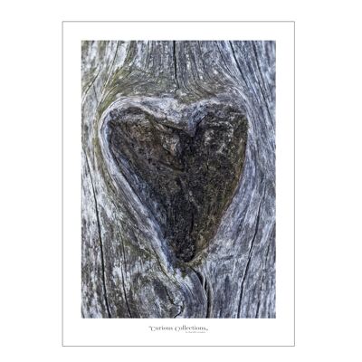 Poster heart Treetrunk