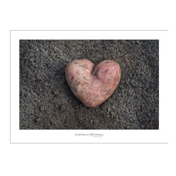 Poster Coeur pomme de terre rouge