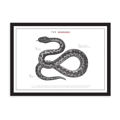 The Serpent , OD-RP-4136-A3