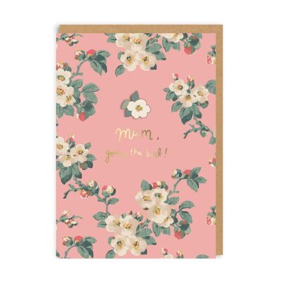 Mum Mayfield Blossom , CATH-EPC-4678-A6