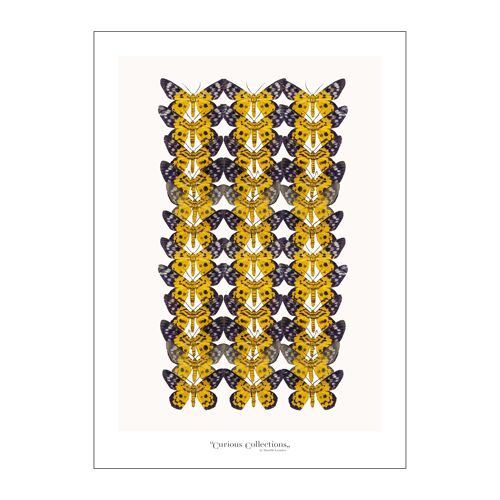 Poster Collection Butterflies yellow