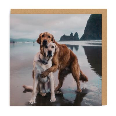 Beach Dogs Hug , SAY-GC-3750-SQ