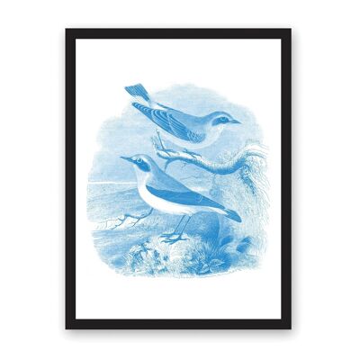 Sea Birds A3 Riso Print , OD-RP-3287-A3
