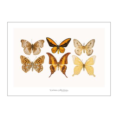 Póster Lamdscape Collection Mariposas 05