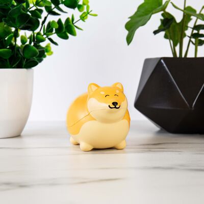 Balle anti-stress Chonky boi