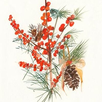 Christmas Berry A6 postcard / 12 pieces