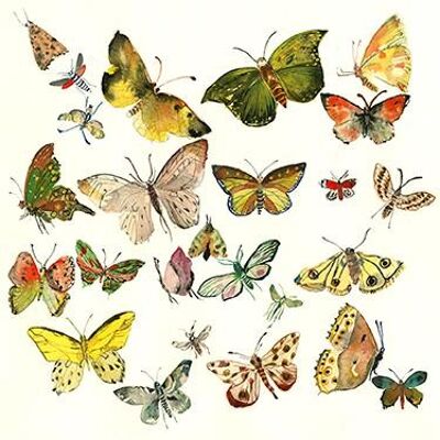 Butterflies A6 postcard / 12 pieces