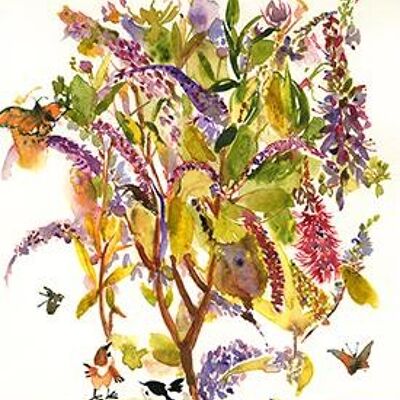 Butterfly bouquet A6 postcard / 12 pieces