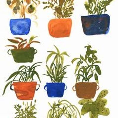 Pots Plants A6 postcard / 12 pieces