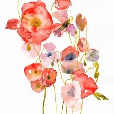 Poppies A6 postcard / 12 pieces