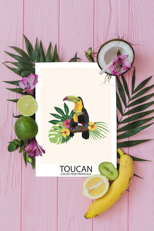 A6 - Carte Oiseaux Tropicaux - Toucan