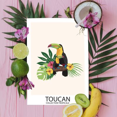 A6 - Carte Oiseaux Tropicaux - Toucan