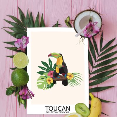 A6 - Carte Oiseaux Tropicaux - Toucan