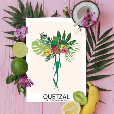 A6 – Karte mit tropischen Vögeln – Quetzal