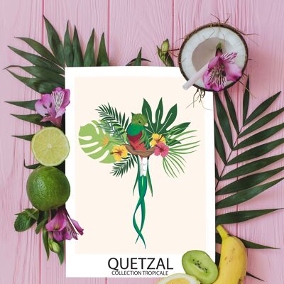 A6 - Carte Oiseaux Tropicaux - Quetzal