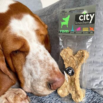 Snack pour chien City Bone Rome 30g x 15 2