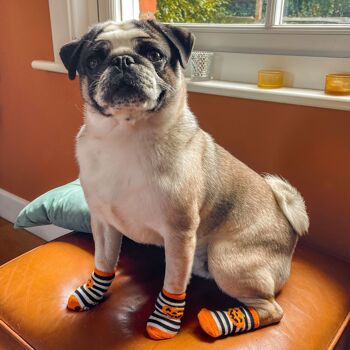 Costume de Chaussettes de Chien d'Halloween 3