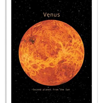 Art-Poster - Venus - Terry Fan