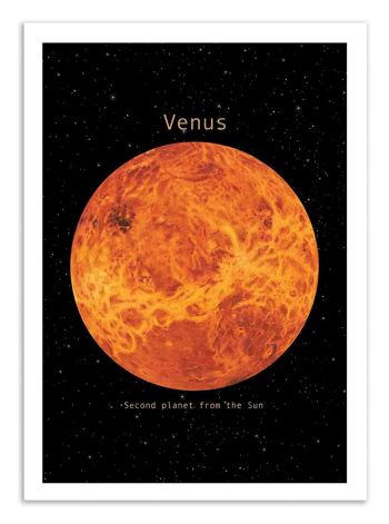 Art-Poster - Venus - Terry Fan 1