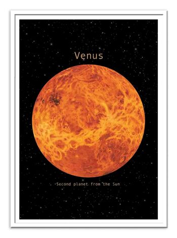Art-Poster - Venus - Terry Fan 2