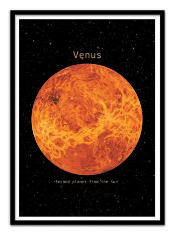 Art-Poster - Venus - Terry Fan 3