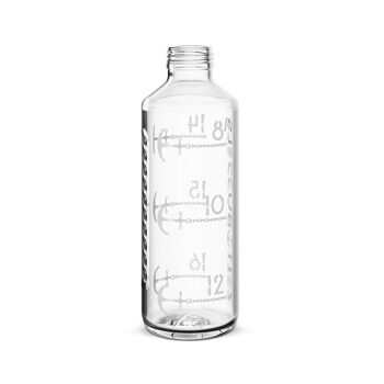 Bouteille d'eau Zeit Buddels Bouteille en verre avec rappel de consommation Bouteille d'eau de 0,6 l NAVIGATOR blanc 4