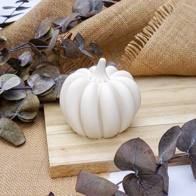 Ornamento decorativo zucca di Halloween - bianco