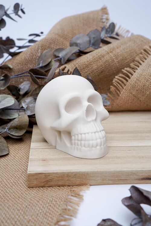 Halloween Skull Decorative Ornament - White