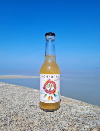 Kombucha artisanal thé vert gingembre 250ml 2