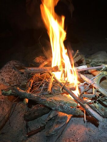 40 ALLUME-FEUX 100% français, rapides, simples & naturels, pour faire des barbecues toute l'année & cocooner au coin du feu - PACK ECO DE 40 16