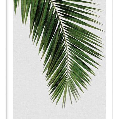 Art-Poster - Palm Leaf - Orara Studio W18352