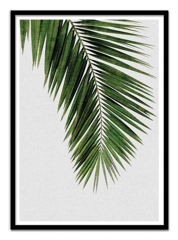 Art-Poster - Palm Leaf - Orara Studio W18352 3