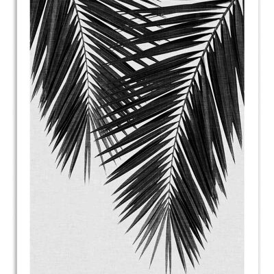 Poster d'arte - Foglia di palma Parte 3 in bianco e nero - Orara Studio W18359