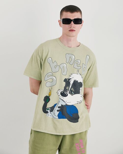 Skunk Oversized Tee With Graphic In Soft Green
