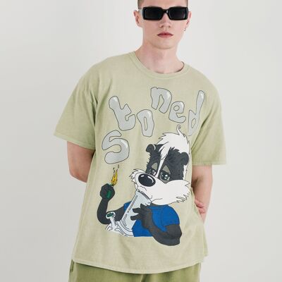 Skunk Oversized Tee With Graphic In Soft Green