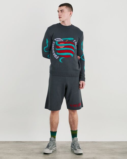 Forbidden Fruit Co-Ord Fitted Knit Crew neck Jumper With Graphic In Dark Grey