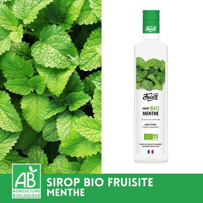 ORGANIC FRUISITE MINT SYRUP