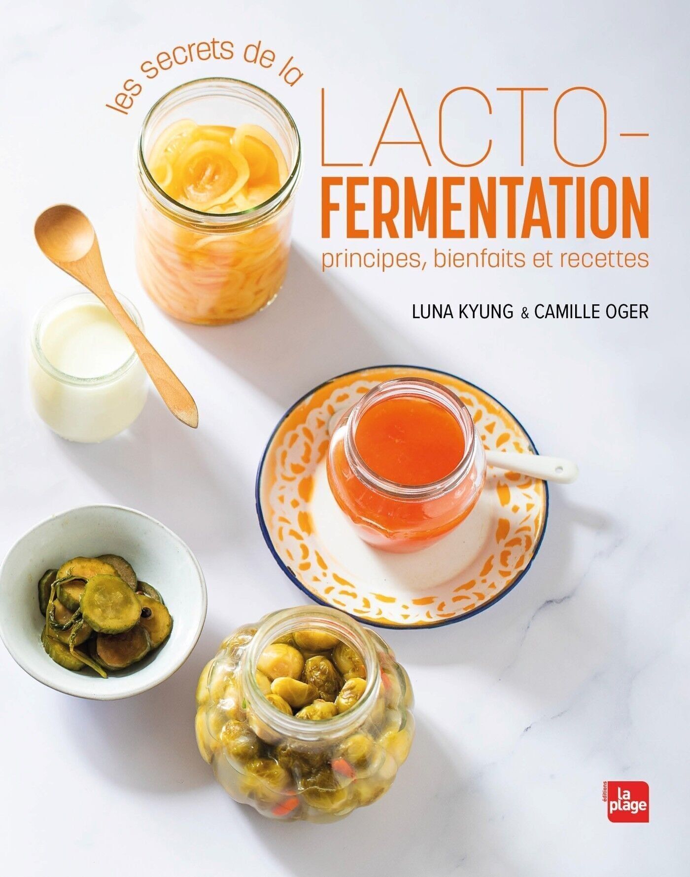 LIBRO - I segreti della lattofermentazione
