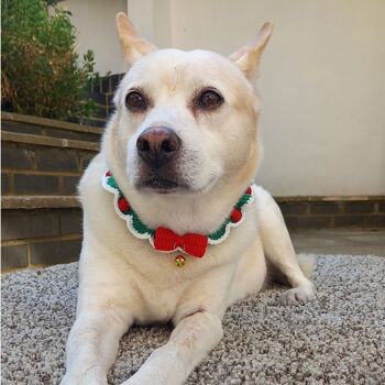 Collier de Noël pour chien au crochet 5