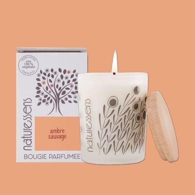 WILD AMBER VEGETABLE WAX SCENTED CANDLE