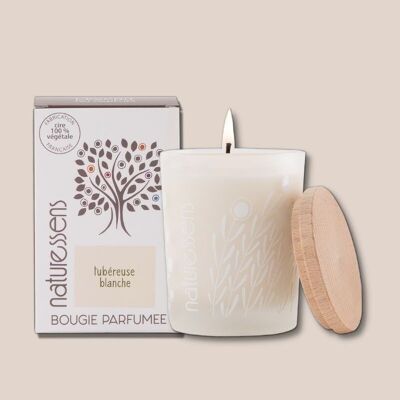 WHITE TUBEROSE VEGETABLE WAX SCENTED CANDLE