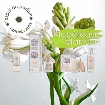 BOUGIE PARFUMEE CIRE VEGETALE TUBEREUSE BLANCHE 4