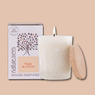 SCENTED CANDLE VEGETABLE WAX CHERRY BLOSSOMS