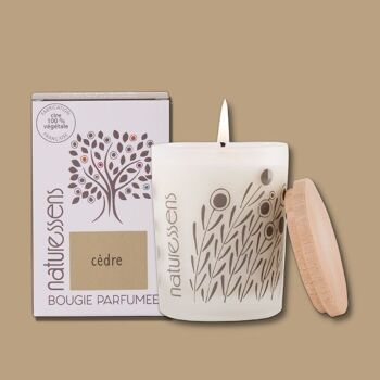 BOUGIE PARFUMEE CIRE VEGETALE CEDRE 1