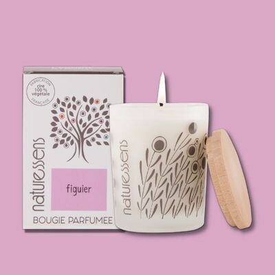 BOUGIE PARFUMEE CIRE VEGETALE FIGUIER